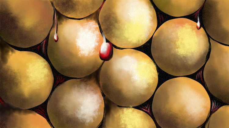 Thirty Years of Waru