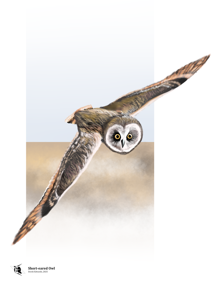 Running Commentary 1/20/2025