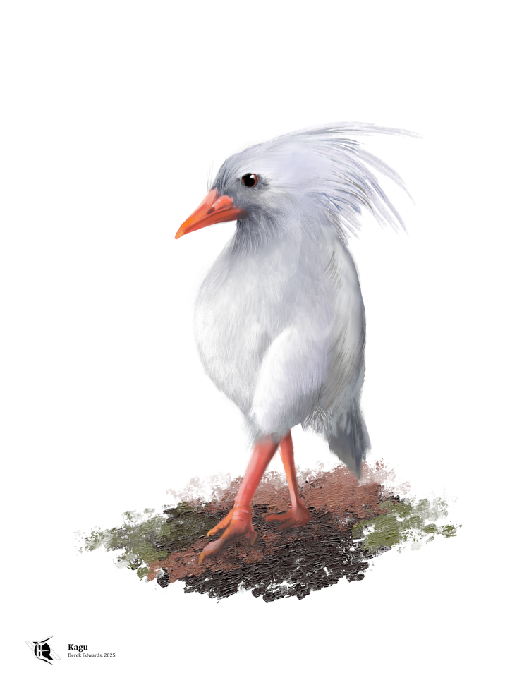 Running Commentary 3/24/2025