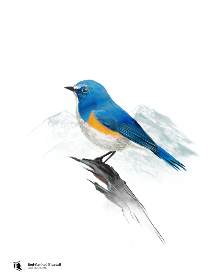 Running Commentary 3/10/2025