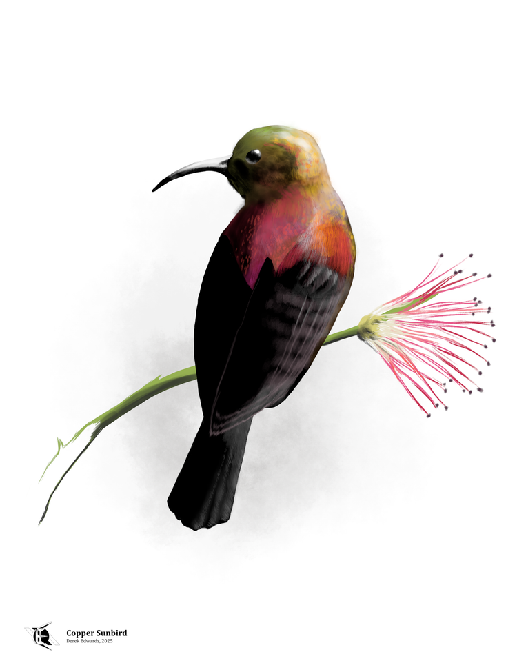 Running Commentary 3/31/2025