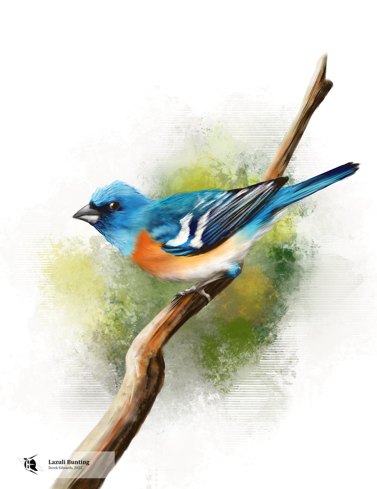 Running Commentary 4/14/2025