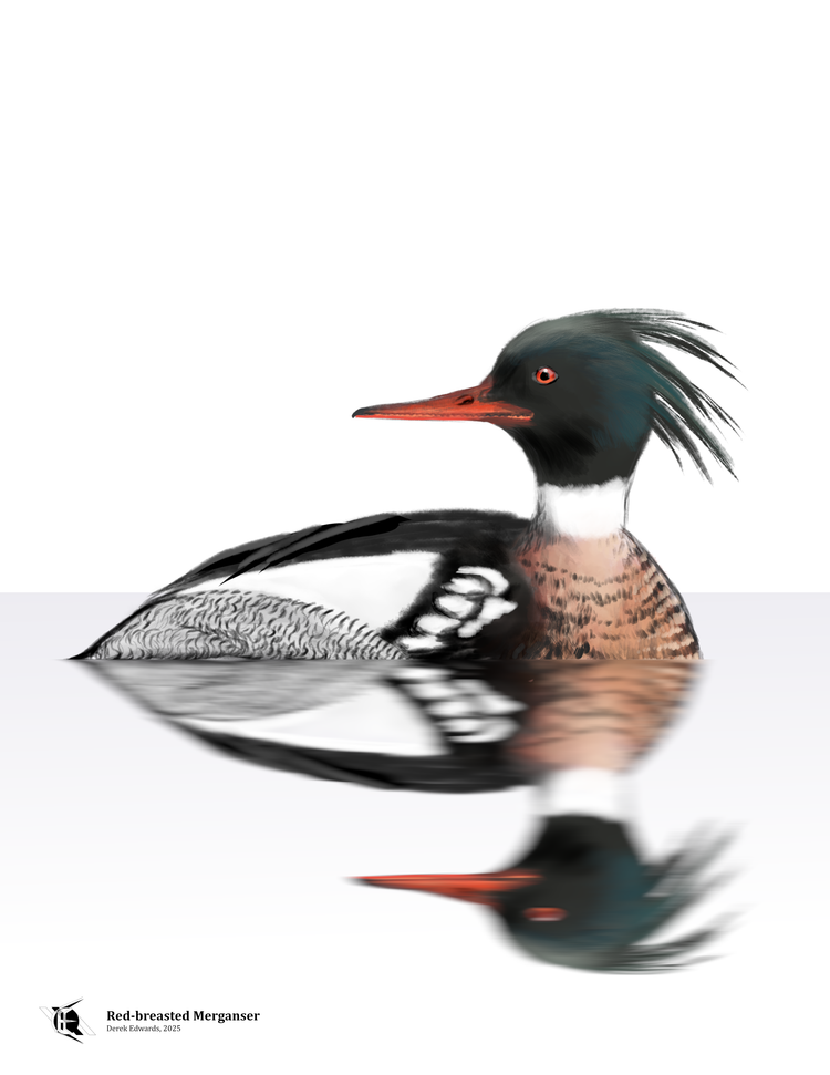 Running Commentary 4/28/2025