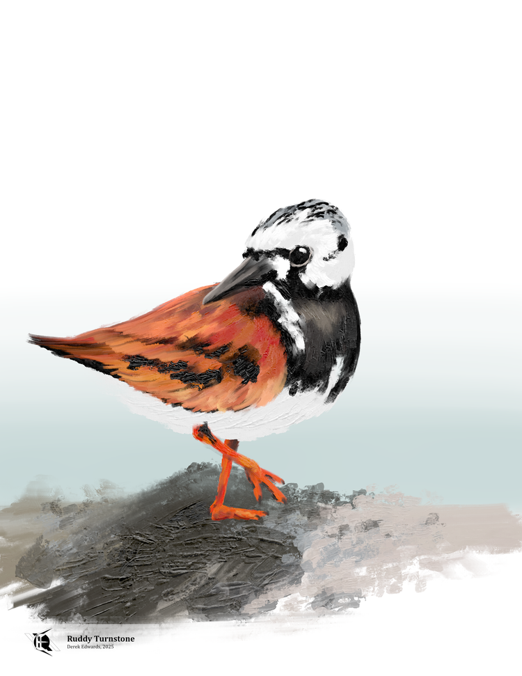 Running Commentary 4/21/2025