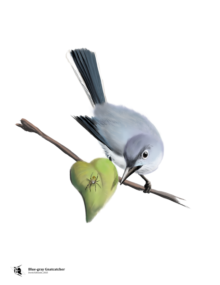 Running Commentary 5/19/2025