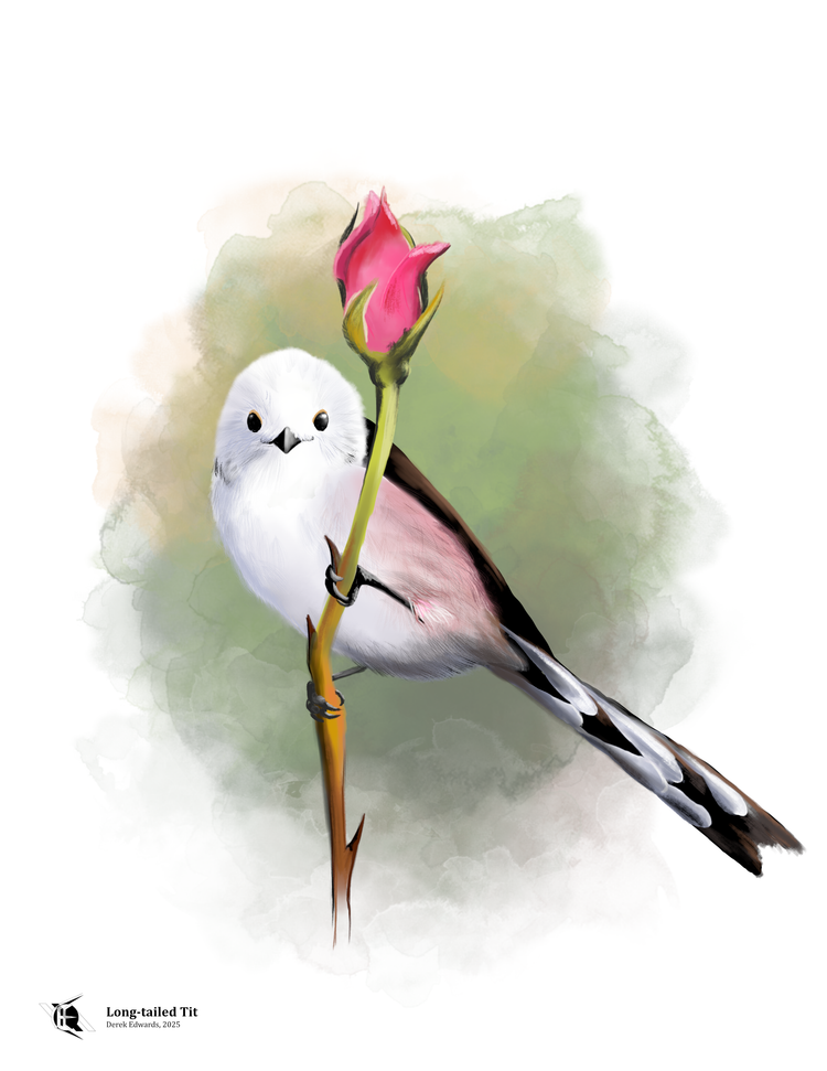 Running Commentary 5/12/2025