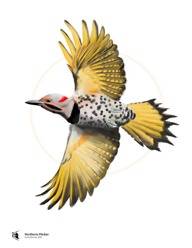 Running Commentary 5/6/2025