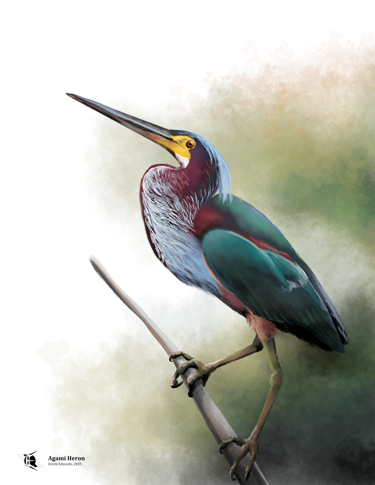 Running Commentary 6/9/2025