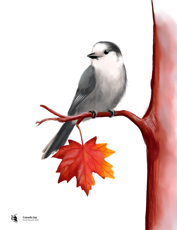 Running Commentary 7/1/2025