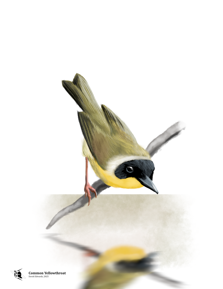 Running Commentary 6/23/2025