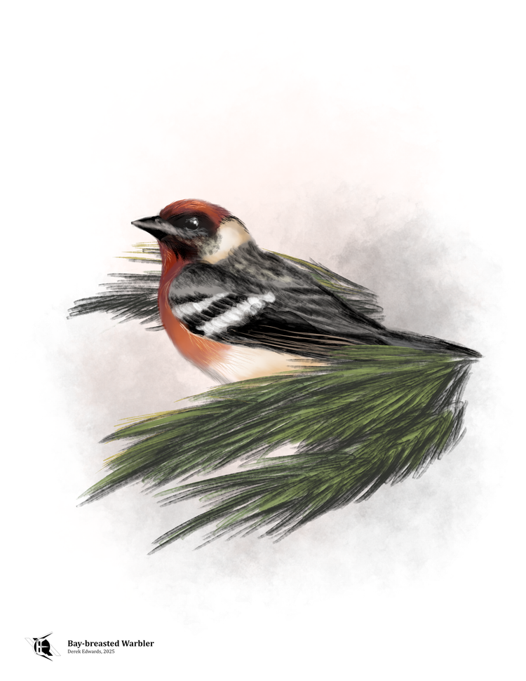 Running Commentary 7/7/2025