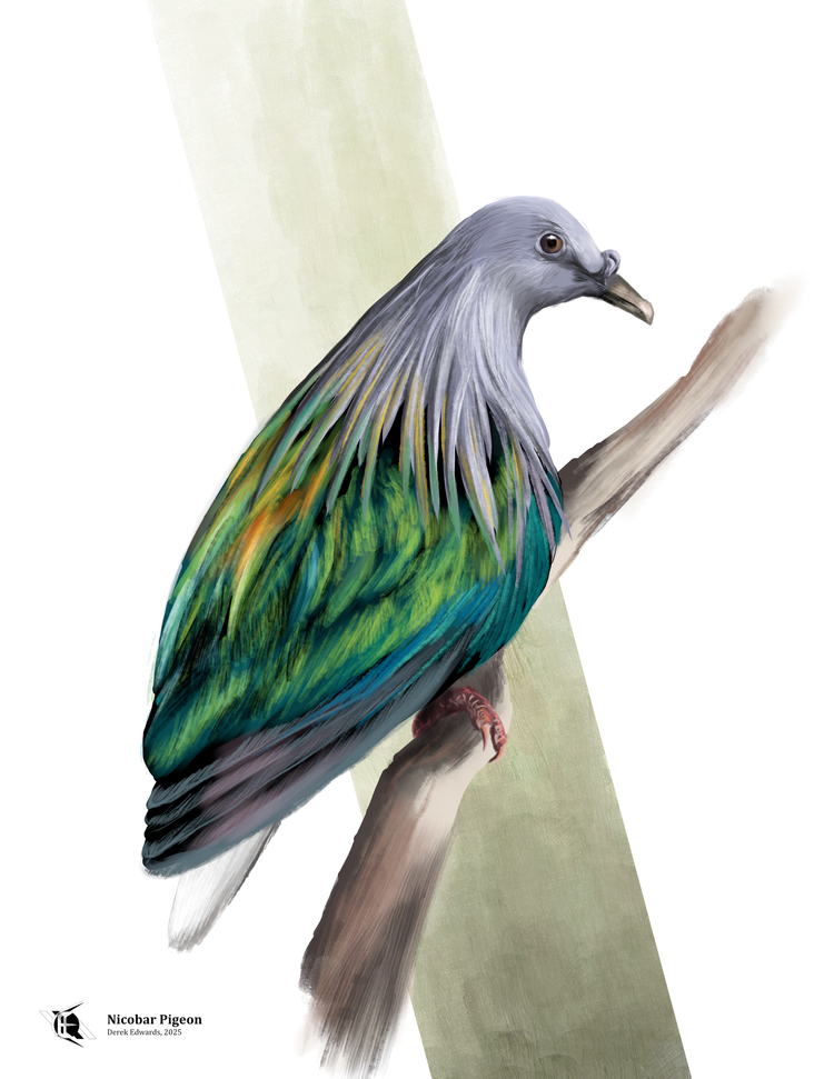 Running Commentary 8/18/2025