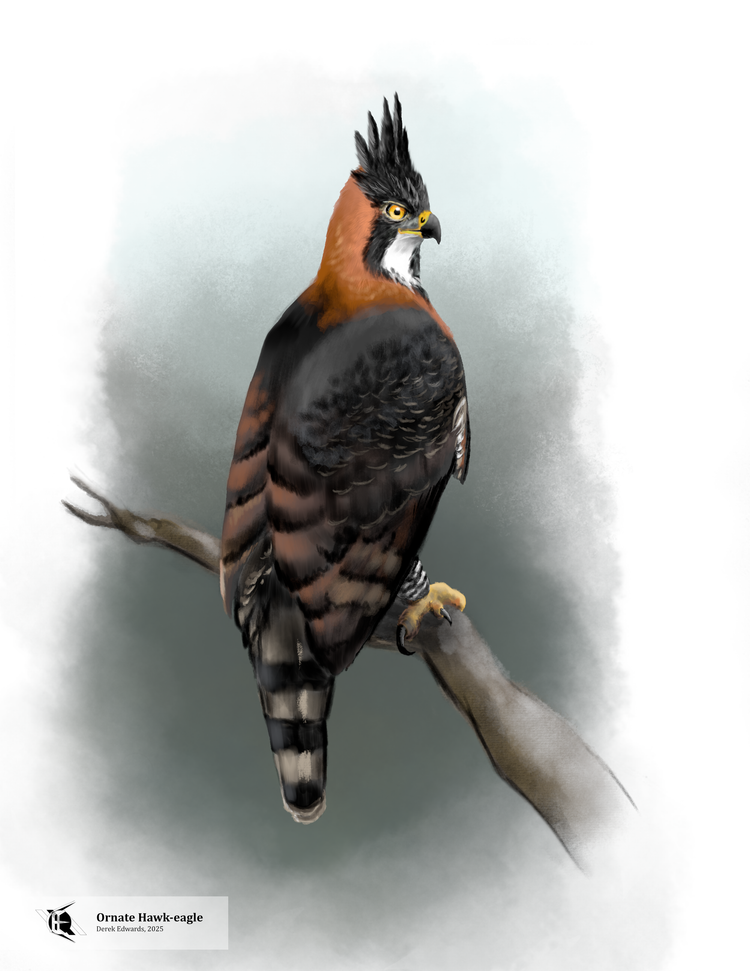 Running Commentary 7/21/2025