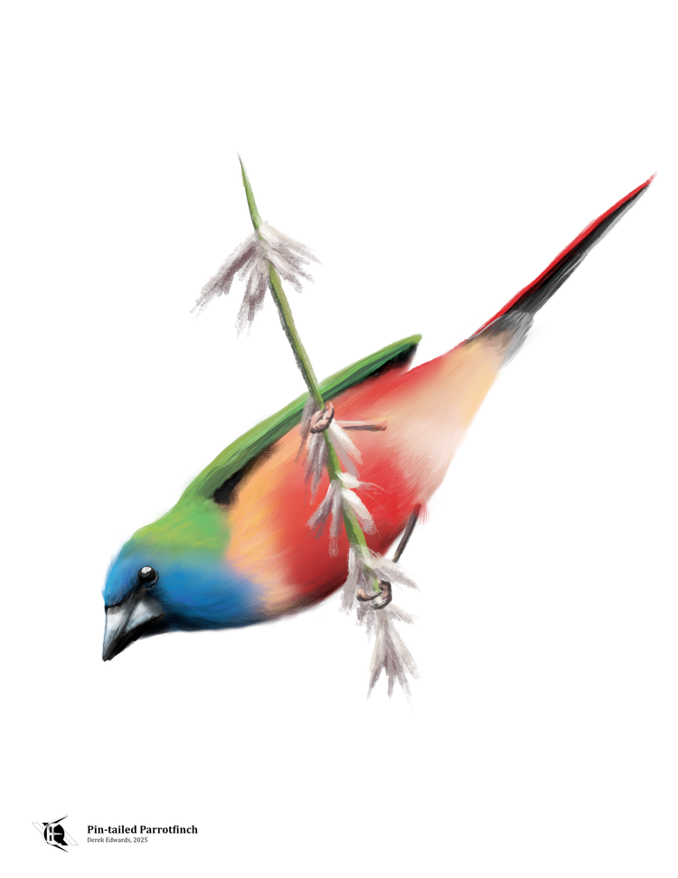 Running Commentary 8/4/2025