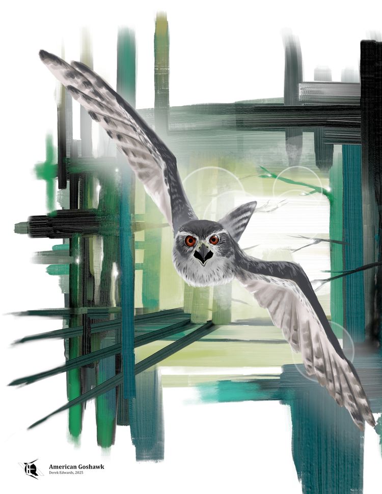 Running Commentary 9/29/2025