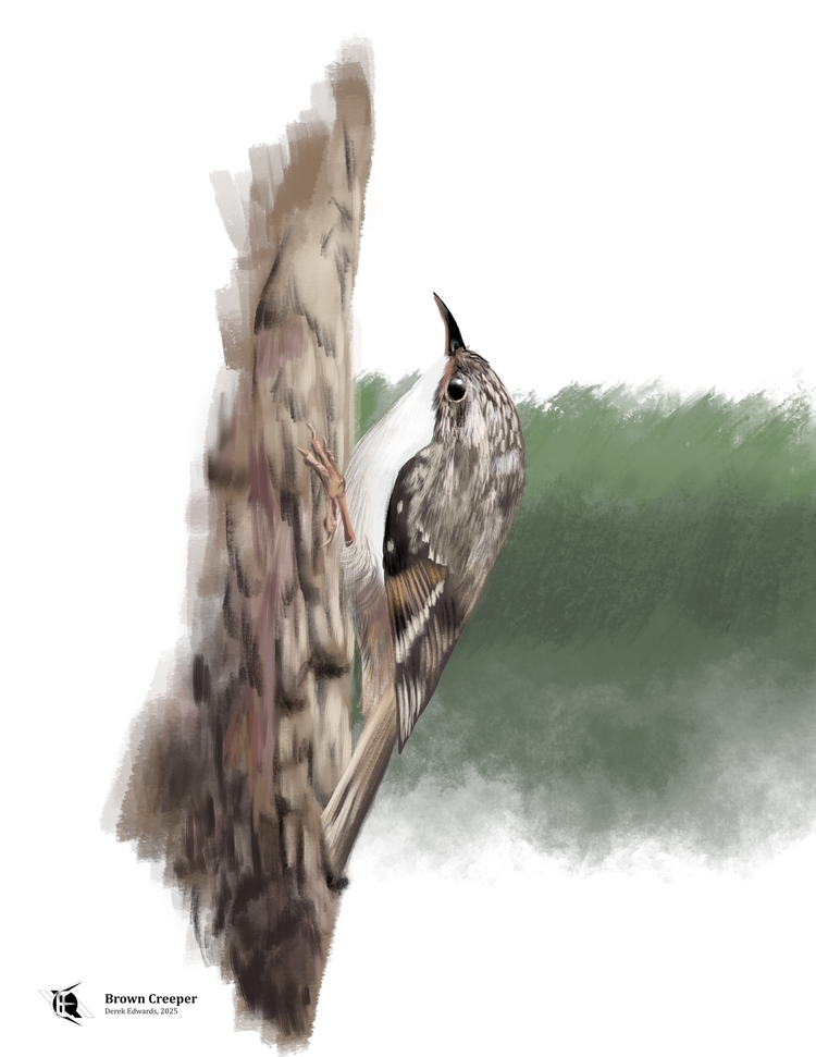 Running Commentary 9/8/2025