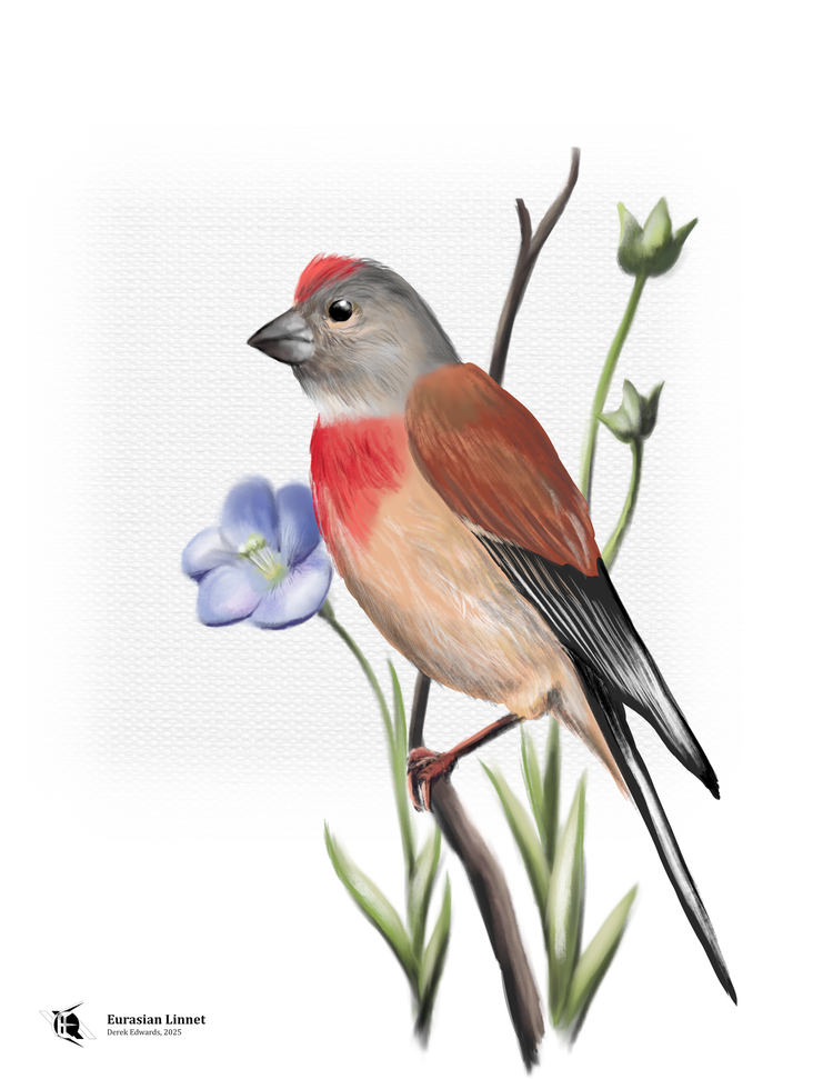 Running Commentary 9/2/2025