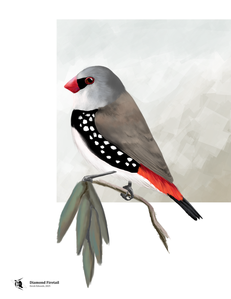 Running Commentary 10/6/2025