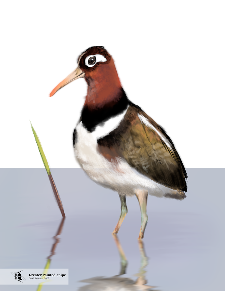 Running Commentary 10/13/2025