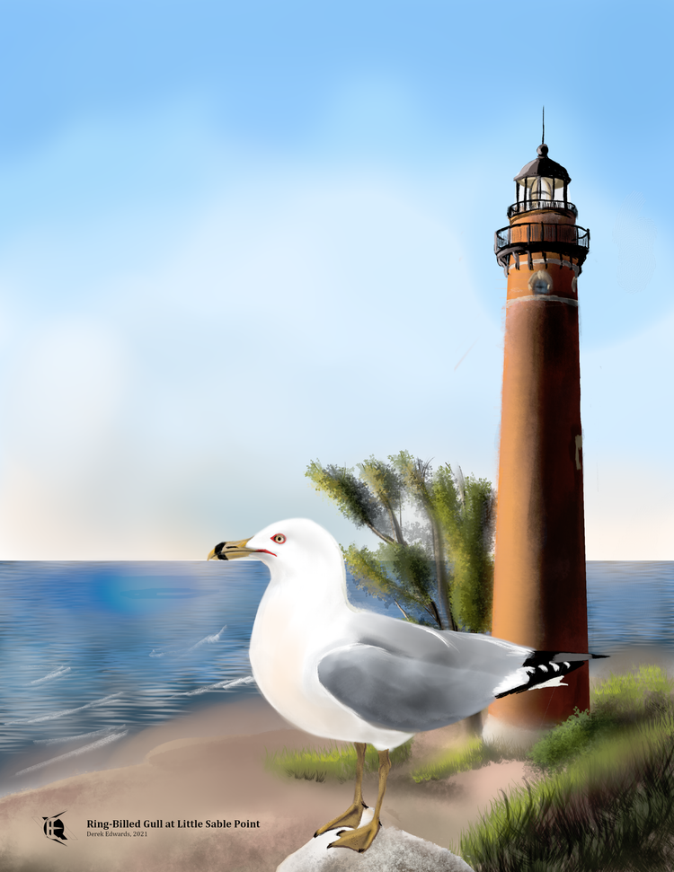 Running Commentary 11/10/2025