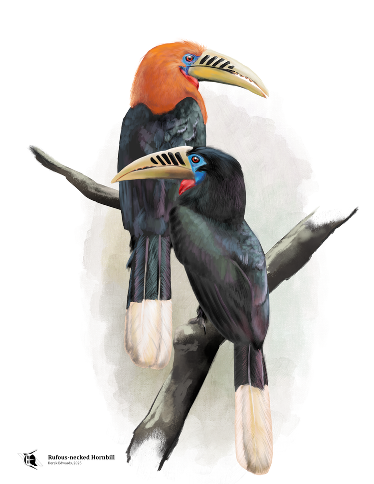 Running Commentary 11/18/2025