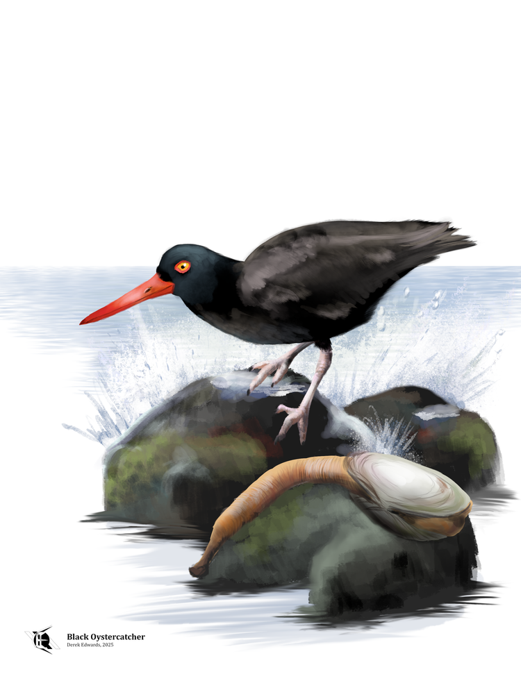 Running Commentary 12/15/2025