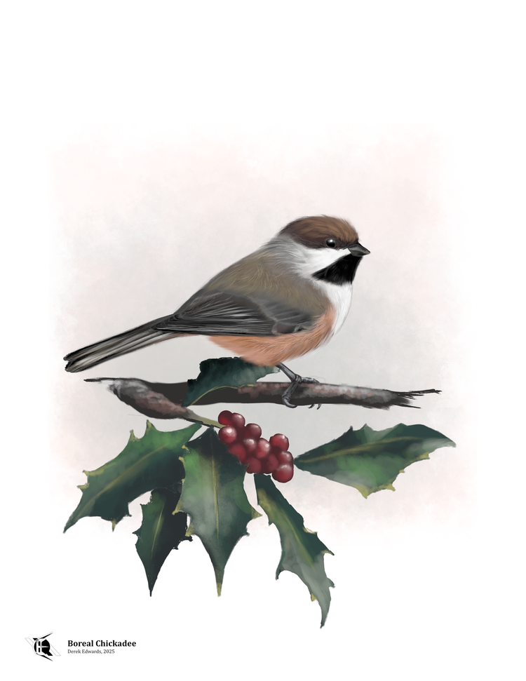 Running Commentary 12/8/2025