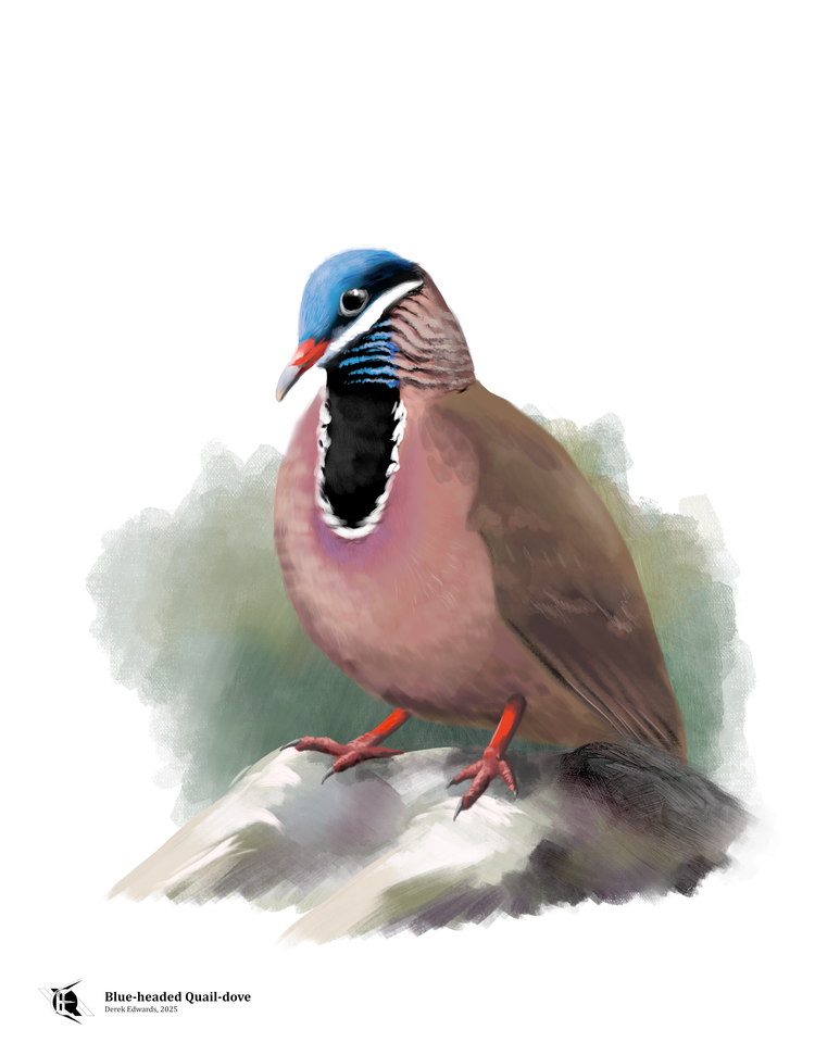 Running Commentary 1/26/2026