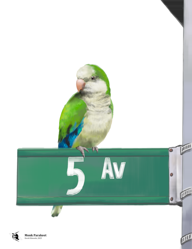 Running Commentary 1/12/2026