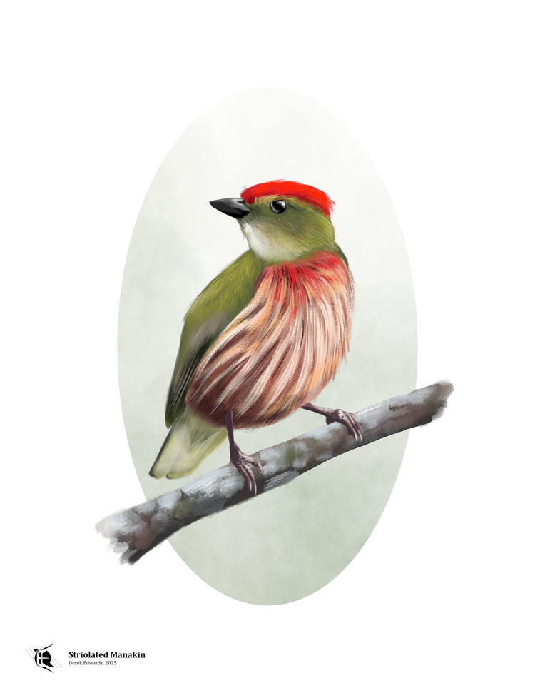 Running Commentary 1/6/2026