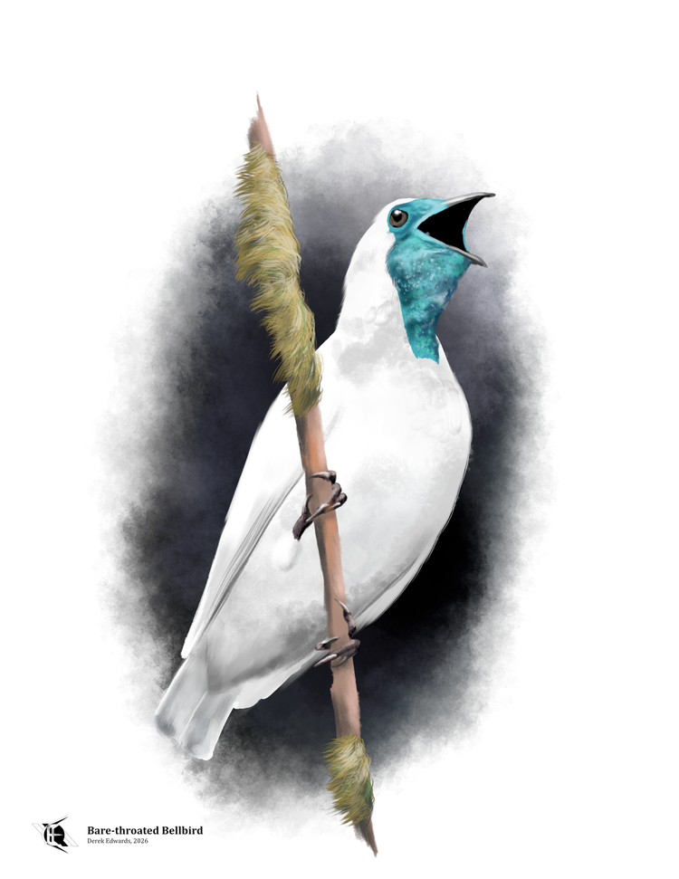 Running Commentary 3/18/2026