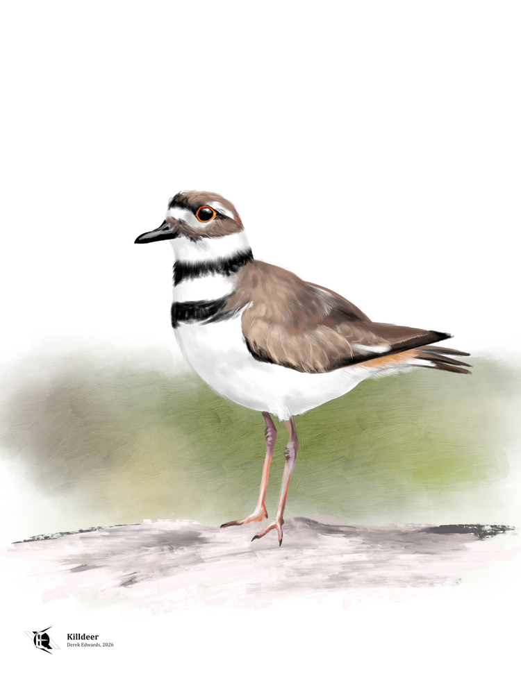 Running Commentary 4/1/2026