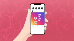 Quel pomeriggio di un giorno da cani