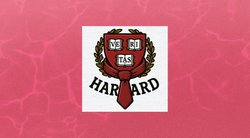 Cravattari ad Harvard