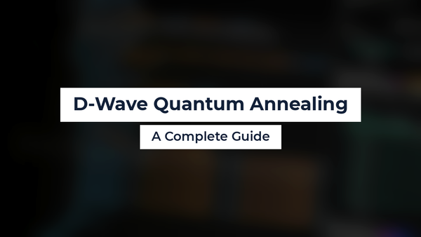 D-Wave Quantum Annealing