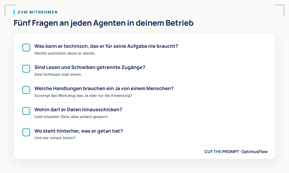 Fünf Fragen an deinen Agenten