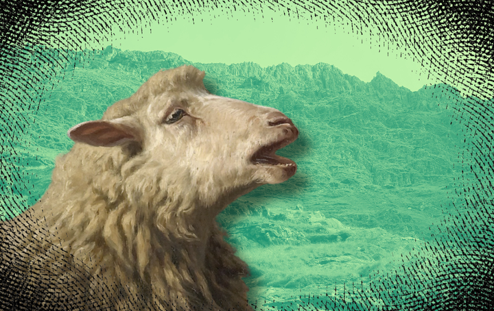 No One is Safe in Folk Horror