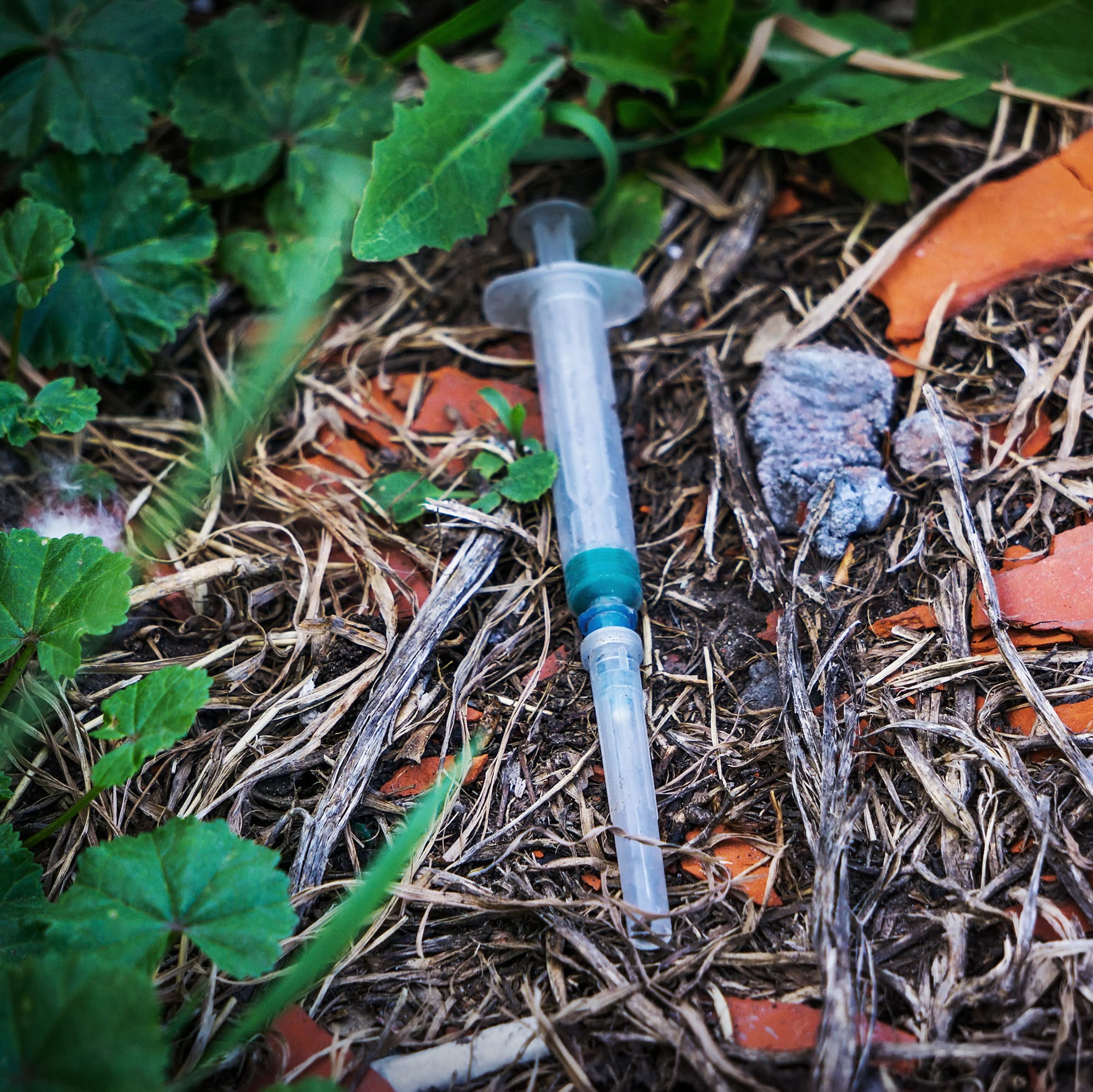 Closing the injecting room would 'breach human rights'