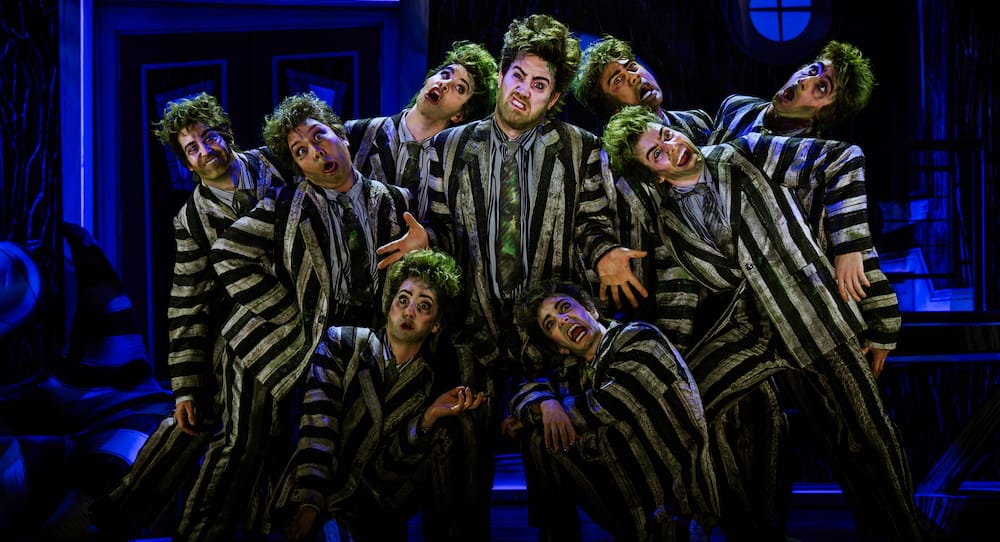 Beetlejuice the Musical | Review