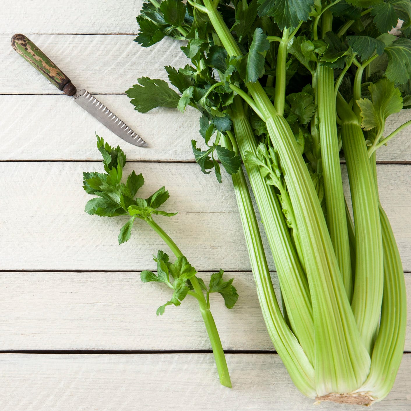Farming in South Gippsland: access to water the key to expansion