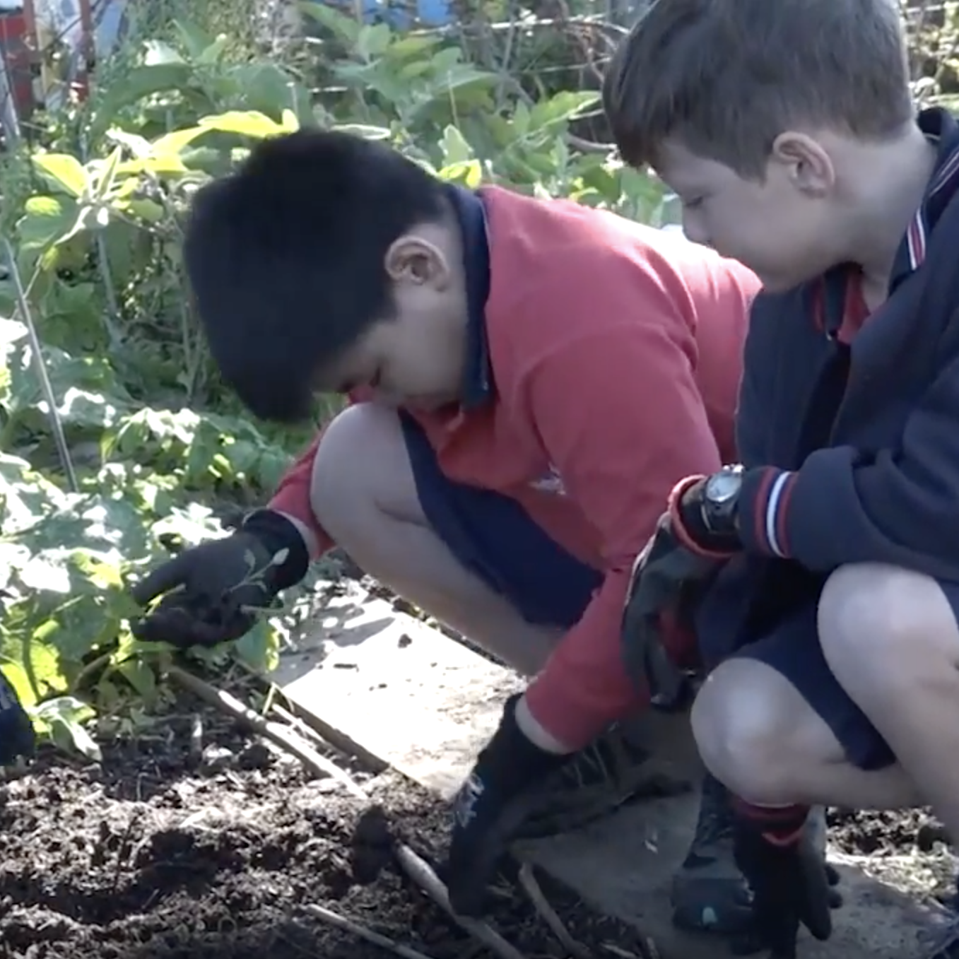 Kids grow great ideas in healthy garden soil