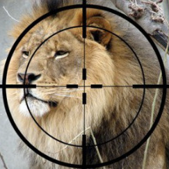 ‘Ethical’ hunters feel endangered as Australia cans trophy hunting