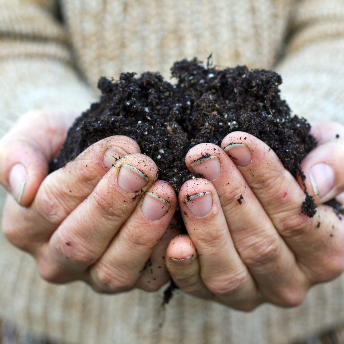 Sending food waste back to earth