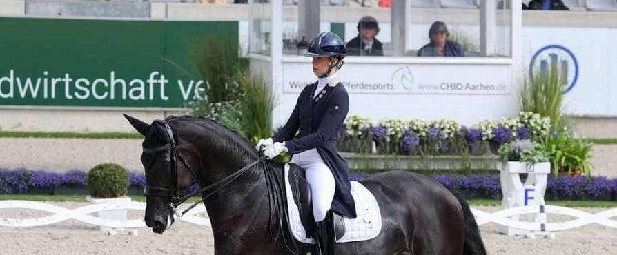 Dressage star thrives after European move