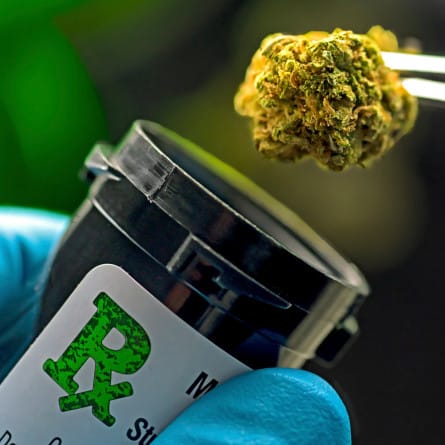 Pressure grows on push to legalise medical marijuana
