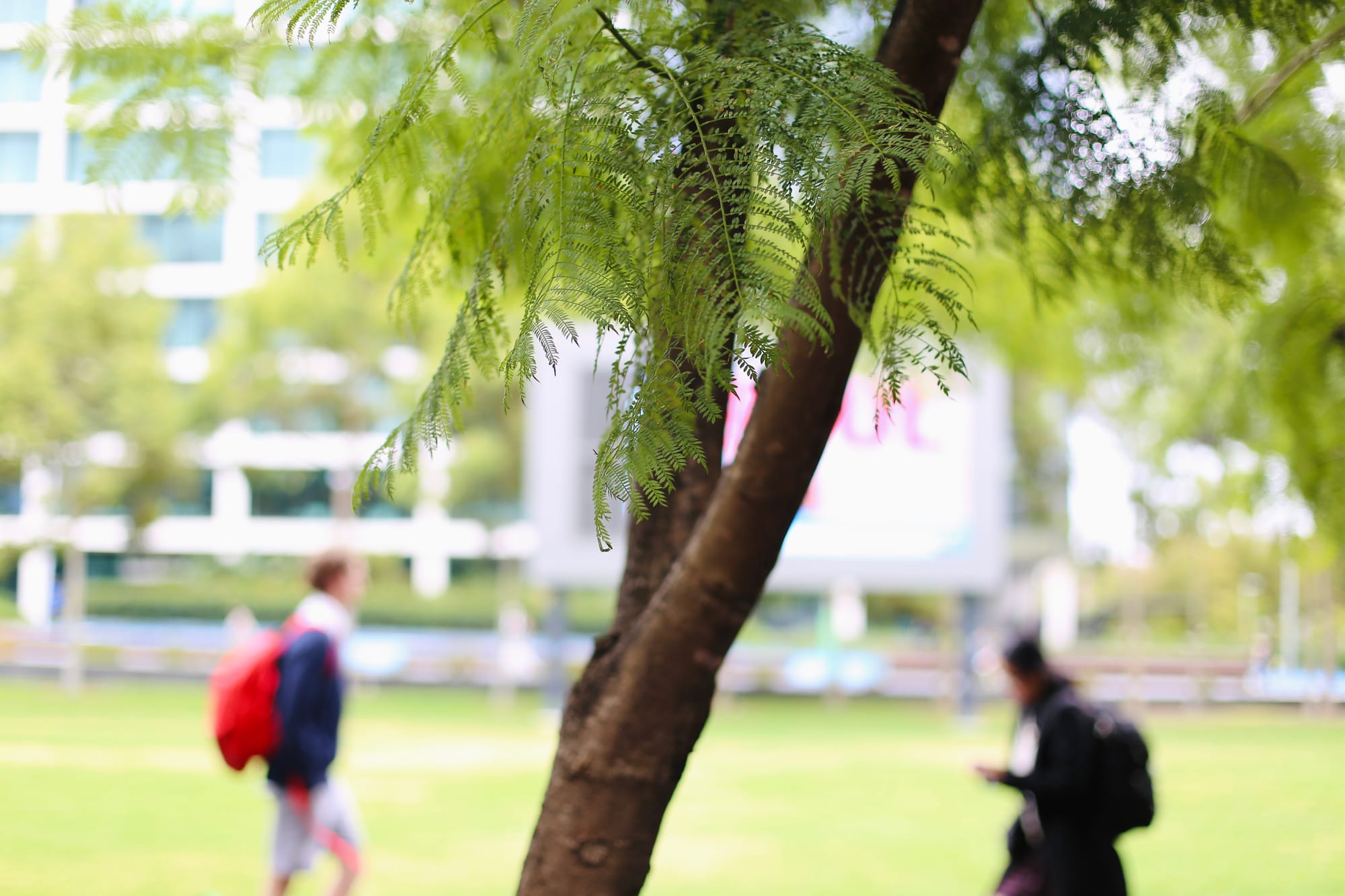 Photo: Sara Nazarbeigi