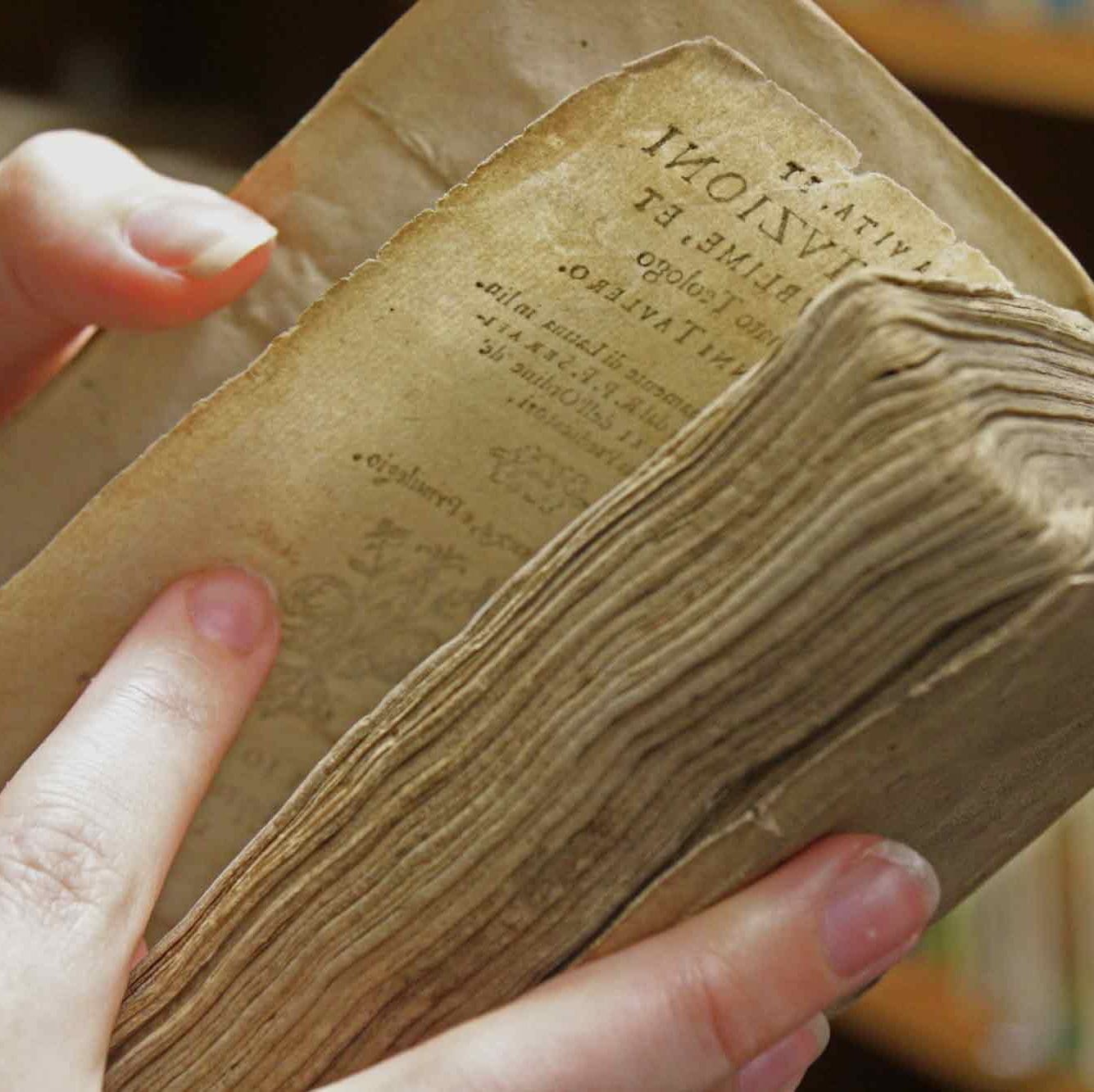 Life of a rare books librarian: A passion for knowledge and fairy tales