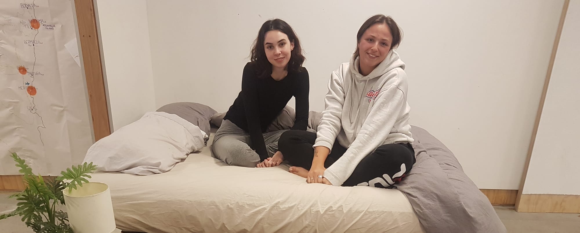 Bed on campus: Facebook speculators caught napping