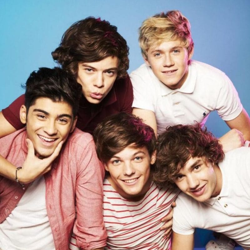 I Am A Fan of ... One Direction. Yes really.