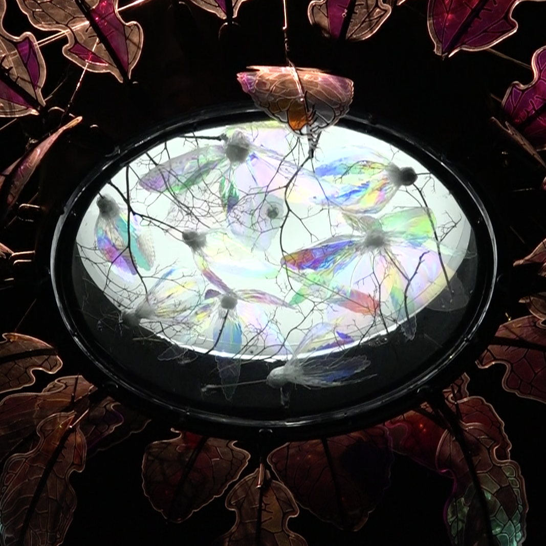 The artist and his laboratory – tripping the light fantastic